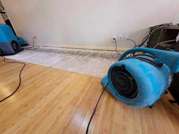 Professional Water Damage Repair technician working in Joelton, TN